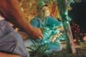 Temple’s holiday display returns for 26th year 