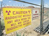 Nuclear renaissance has resurgence in West 