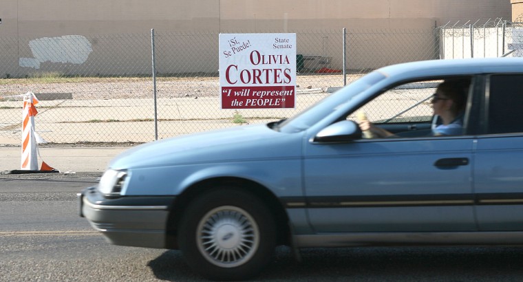 Campaign Signs