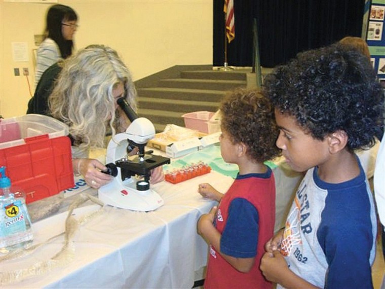 Family Science Night