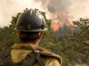 Fire Forecast