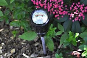 <p>This undated image shows a soil moisture testor in a garden. A reliable way to tell whether any plant needs water is to dig a hole near it and feel the soil for moisture. Instead of pocking your garden full of test holes, you could instead periodically check for wetness by probing it with an (inexpensive) electronic moisture meter. (AP Photo/Lee Reich)</p>
