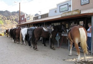 Ponderosa Stables is gem of South Mountain Park 