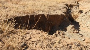 San Tan Valley woman loses 'fissure' appeal 