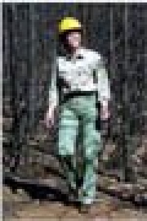 04/28 - Lawsuits stall forest thinning 