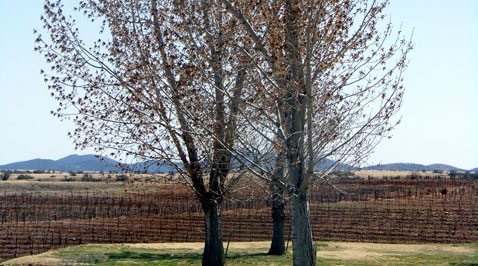 Step back in time in Sonoita 