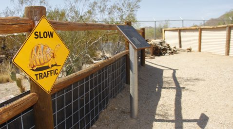 Improvements planned for regional parks 