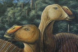 Fiercer duck-billed dinosaur discovered near Arizona border 