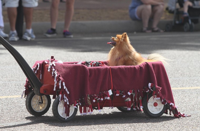 easter.parade013.JPG