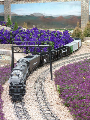 Arizona Big Train Operators