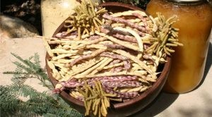 Grind mesquite seed pods into sweet flour 