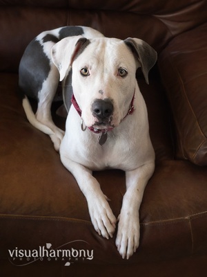 Penelope