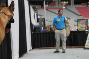 Home and Garden Show