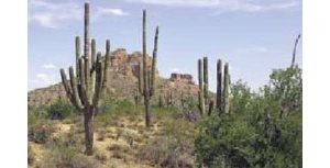 San Tan park plan approved by county board 