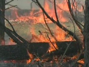 Tonto National Forest fire