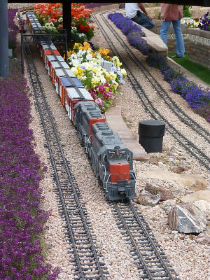 Arizona Big Train Operators