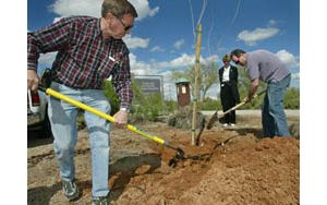 Rotary International marks its centennial 