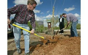 Rotary International marks its centennial 
