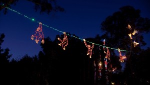 ZooLights
