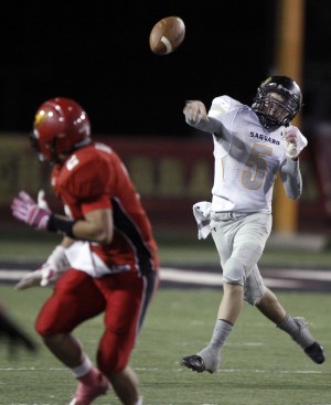 Saguaro at Chaparral