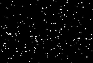 Stars