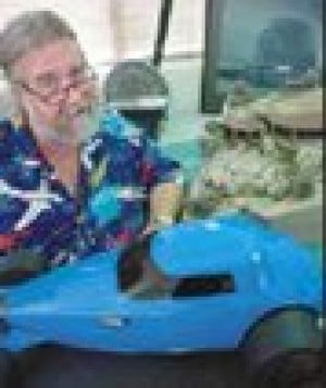Vehicles, landscape sport local man’s touch 