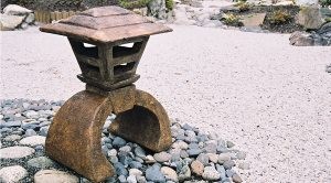 Spending more time and money in the garden 