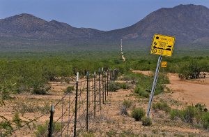 Border deaths up despite dip in crossings 