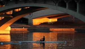 Wild Rower Art