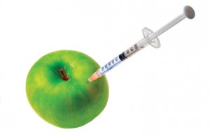 GMOs