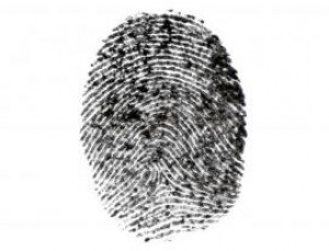 Fingerprint