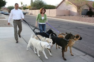 Fore the Dogs