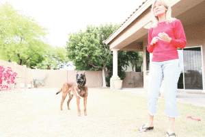 Local K-9 added to war on drugs 
