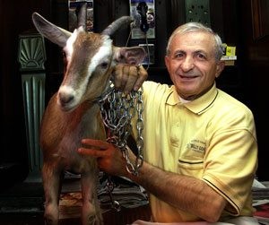 Will the Curse of the Billy Goat rear ugly head for Cubs? 