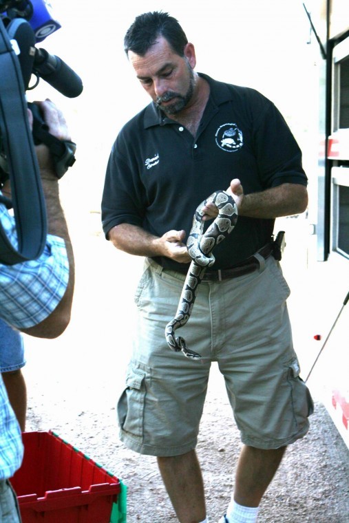 Reptile rescue