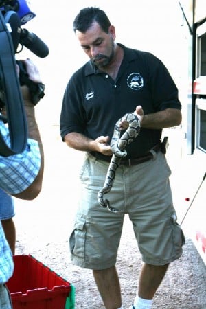 Reptile rescue