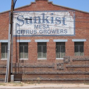 Sunkist facility in Mesa
