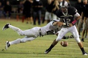 Basha at Hamilton