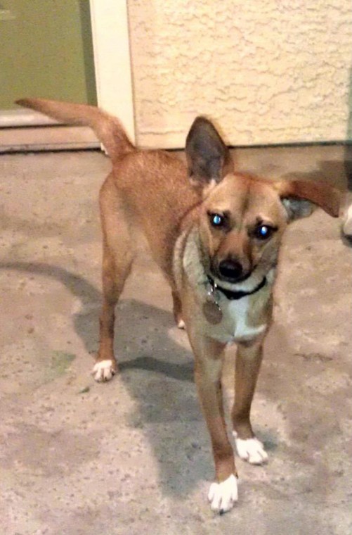 Have you seen Lloyd?