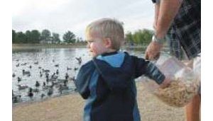 Pollution triggers health warnings 