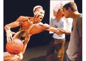 Science center looks for new blood with exhibit 