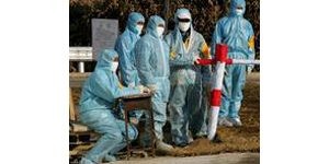China confirms first human bird-flu cases 