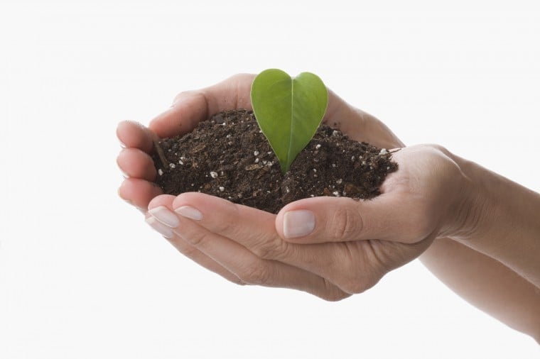 Composting
