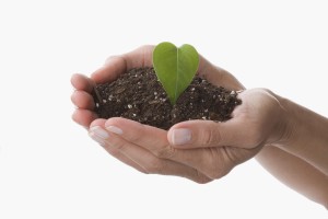 Composting