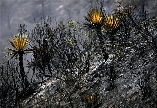Monument Fire nears Sierra Vista