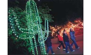 ZooLights will illuminate magical story, page by page 
