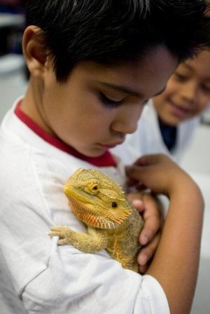 Program kick-starts science education 