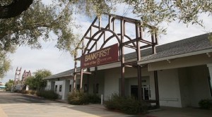 Officials: Funds for school will help Chandler 