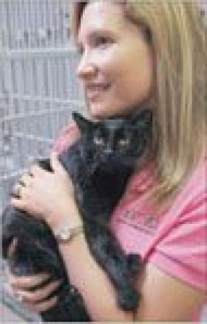 Arizona Humane Society measures success one purr and bark at a time 