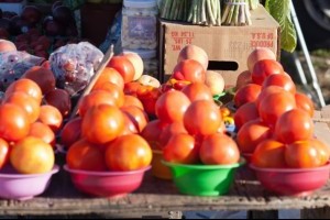 Farmers Market